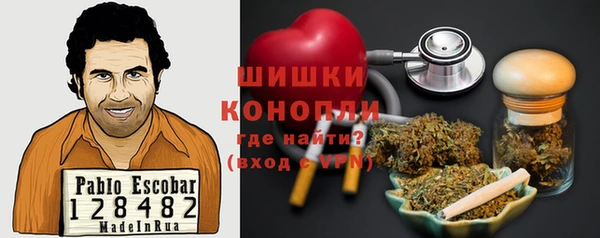 дживик Зеленокумск