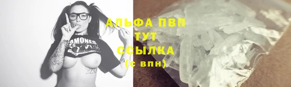 СК Зерноград