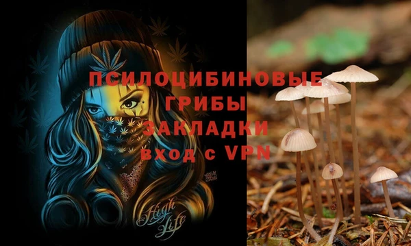 амф Зеленодольск