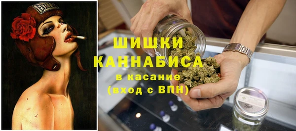 СК Зерноград